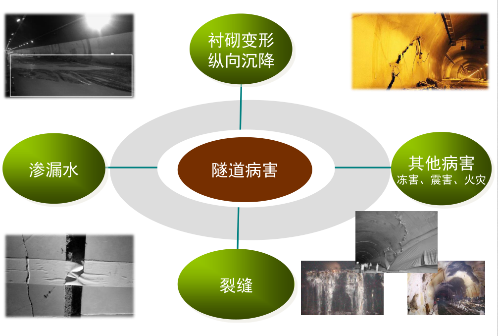 WPS图片(1).png